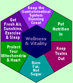 Six Foundations of Health
